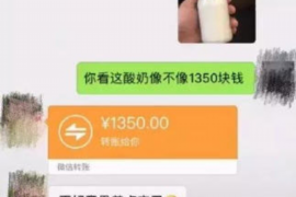 柳州为什么选择专业追讨公司来处理您的债务纠纷？